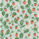 Fine Decor Maxine Seafoam Strawberry Fields Wallpaper FD43718