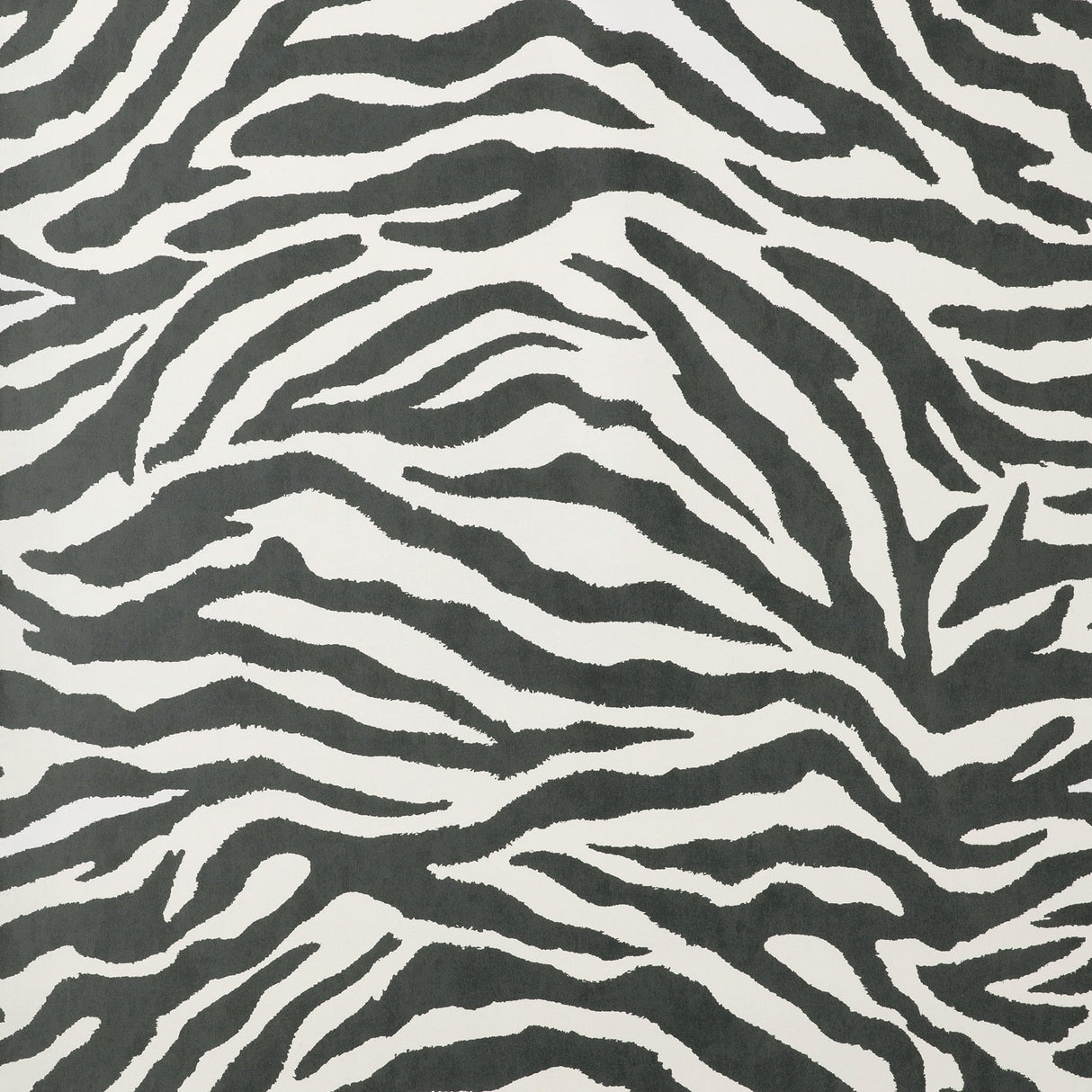 Fine Decor Shoshana Black Modern Zebra unpasted paper wallpaper, 20.5 in x 33 ft roll