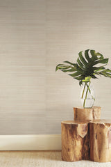 Plain Sisal Grasscloth Taupe & Silver Wallpaper with Natural Woven Texture - York GC0700DL