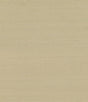Champagne sisal grasscloth wallpaper texture