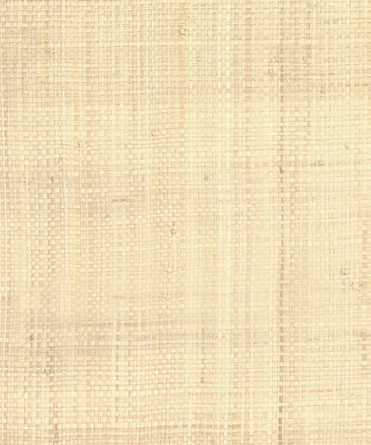 Natural raffia grasscloth wallpaper in a warm latte beige tone