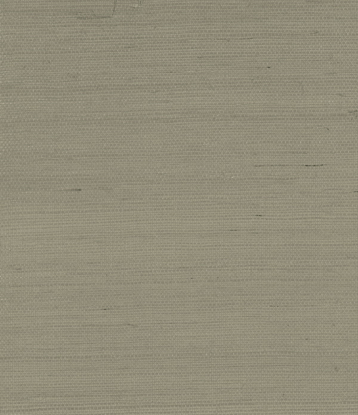Seabrook Designs Sisal grasscloth wallpaper in Oak Mist (GG10015), a woven-look textured grey neutral.