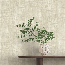 Monteverde Buff by York Wallcoverings Textured Non Woven Wallpaper – York Wallcoverings GN2553