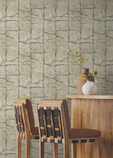 Mojave Taupe by York Wallcoverings Non Woven Wallpaper – York Wallcoverings GN2581