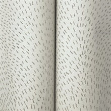 Dew Drop Grey by York Wallcoverings Glitter Textured Wallpaper – York Wallcoverings GN2591