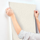 Dew Drop Beige by York Wallcoverings Textured Glitter Wallpaper – York Wallcoverings GN2594