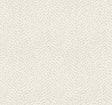 York Wallcoverings Dew Drop Beige GN2594 wallpaper swatch