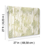Aspen Grove Green by York Wallcoverings Botanical Wallpaper – York Wallcoverings GN2601