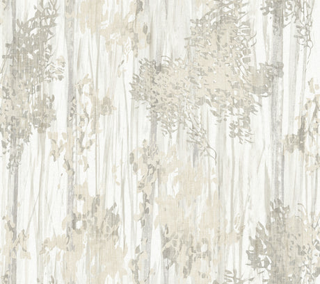 Aspen Grove Grey Wallpaper by York Wallcoverings GN2603 - Watercolor Botanical Forest Non Woven Unpasted Sidewall