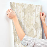 Aspen Grove Sand by York Wallcoverings Botanical Wallpaper – York Wallcoverings GN2604