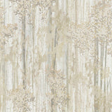 Aspen Grove Beige Mural GN2605M by York Wallcoverings – cork on paper forest design