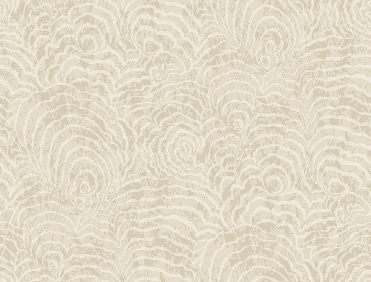 York Wallcoverings GN2632 Ocean Jasper Beige Wallpaper room scene and pattern