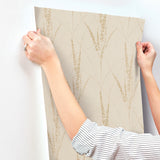 Graceful Willow Pale Straw by York Wallcoverings Botanical Wallpaper- York Wallcoverings GN2642