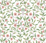 Jasmine Coral Wallpaper with Floral Vines Pattern - York GO8252