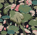 Lotus Pond Black & Pink Wallpaper with Botanical Lotus and Lily Pads Pattern - York GO8292