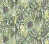 Greenery Cotton Green Wall Mural with Tropical Botanical Leaf Pattern - York GO8332M