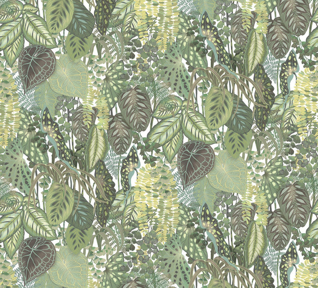 Greenery Cotton Green Wall Mural with Tropical Botanical Leaf Pattern - York GO8332M