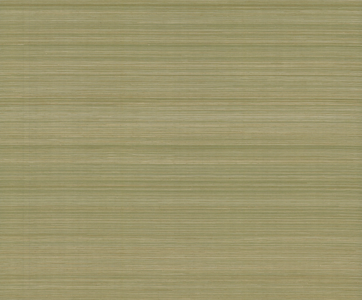 Smooth Abaca Moss grasscloth wallpaper by Ronald Redding, 36 in x 24 ft roll