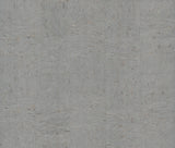 Caldera Cork Steel Wallpaper – Ronald Redding GRL88369