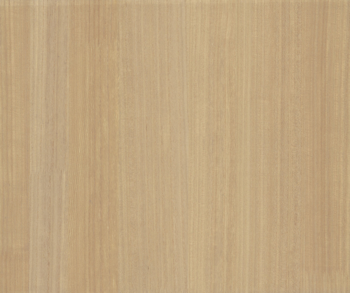 Wood Veneer Honey wallpaper by Ronald Redding, 36 in x 24 ft roll, warm honey wood look