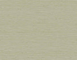 Seabrook Designs Bangkok GT30119 faux silk texture wallpaper in Fall Green