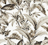 Mystic Isle Neutral Wallpaper with Tropical Eclectic Botanical Pattern - York GT4503