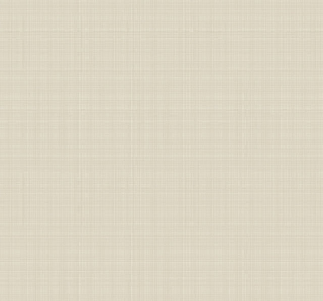 Bordeaux Beige Wallpaper with Raised Ink Weave Texture - Ronald Redding GT4509