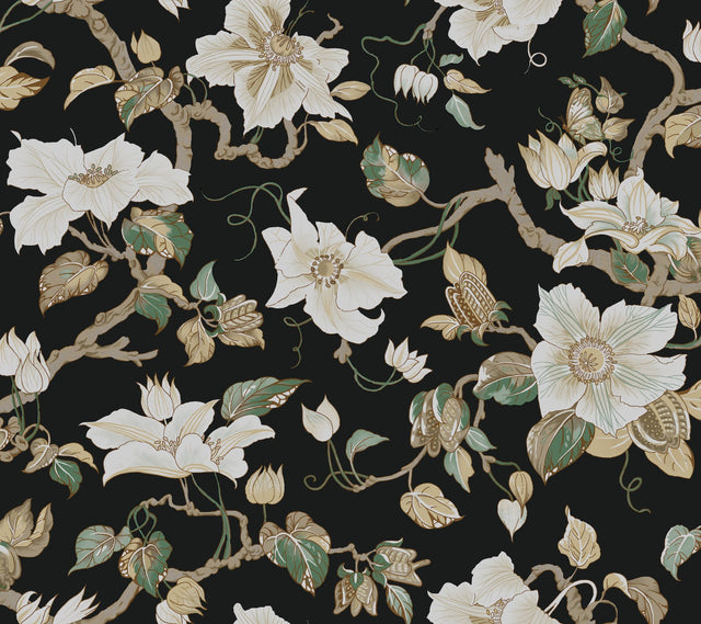 Marguerite Vine Black Vintage Floral Wallpaper - York GT4514