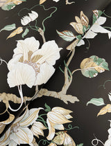 Marguerite Vine Black Vintage Floral Wallpaper - York GT4514