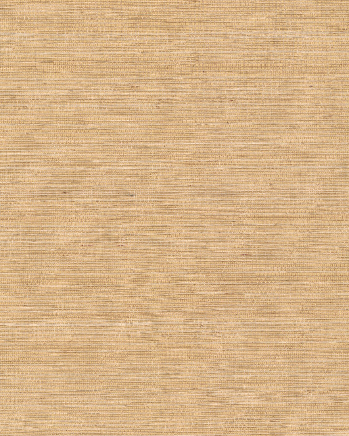 Maguey Sisal Biscotti Grasscloth Wallpaper with Natural Sisal Texture - York GV0103NW