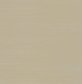Maguey Sisal Almond Grasscloth Wallpaper Traditional - York GV0105NWFD