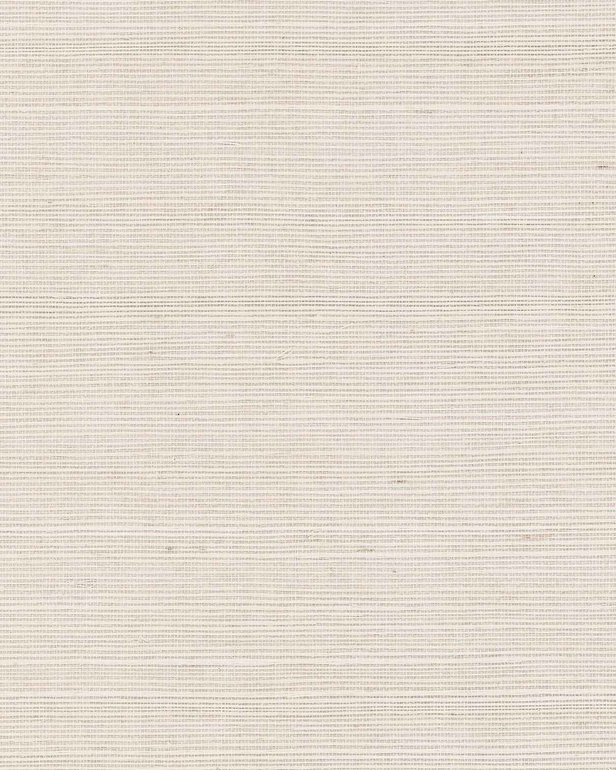Maguey Sisal Latte Grasscloth Wallpaper - Ronald Redding GV0109NW