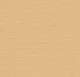 Maguey Sisal Sand Grasscloth Wallpaper with Traditional Style - York GV0112NWFD