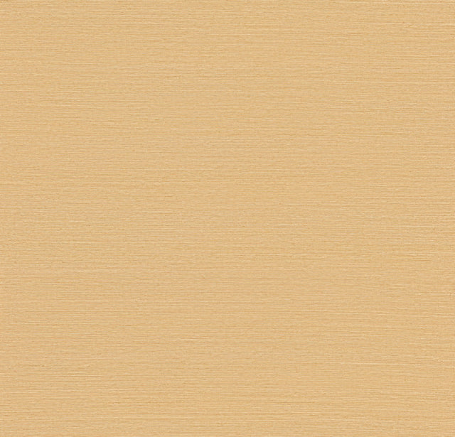 Maguey Sisal Sand Grasscloth Wallpaper with Traditional Style - York GV0112NWFD