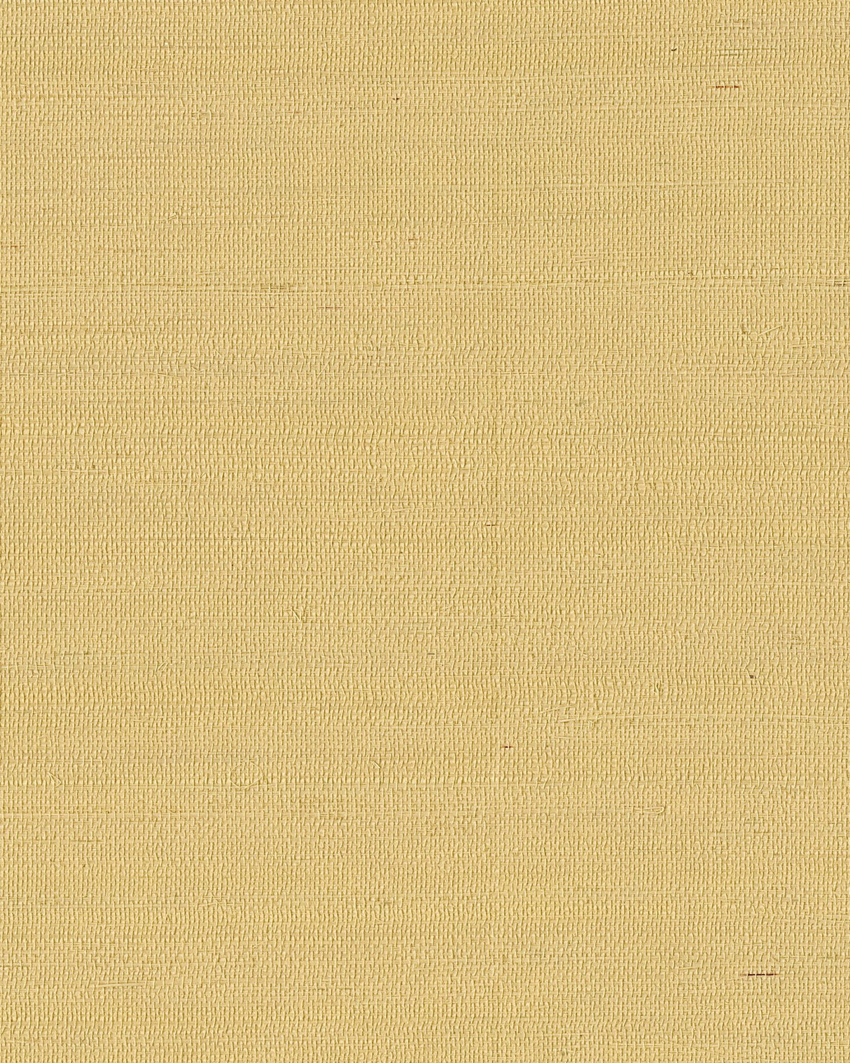 Maguey Sisal Straw Wallpaper in Straw Grasscloth - York GV0113NW