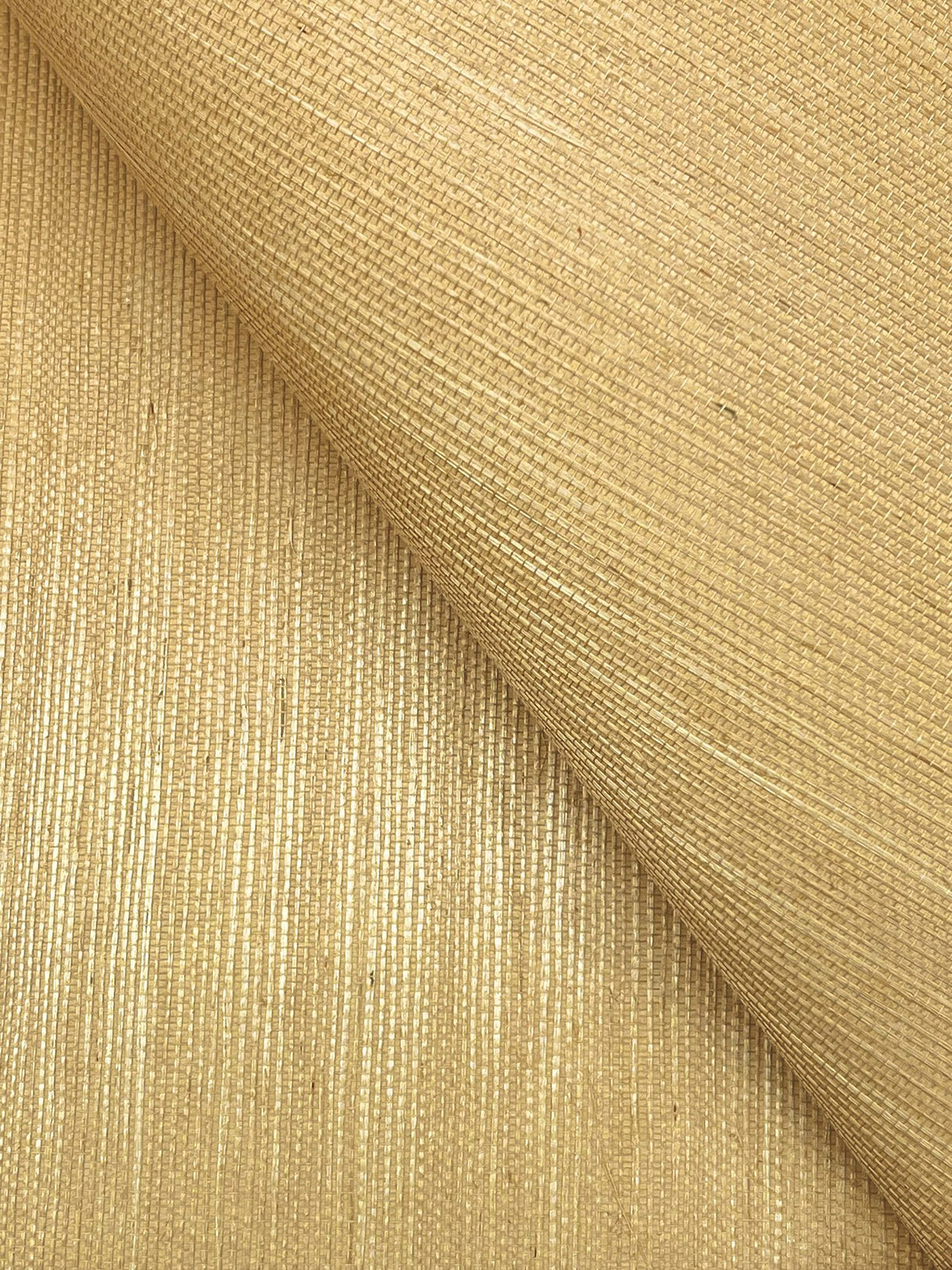 Maguey Sisal Straw Wallpaper in Straw Grasscloth - York GV0113NW