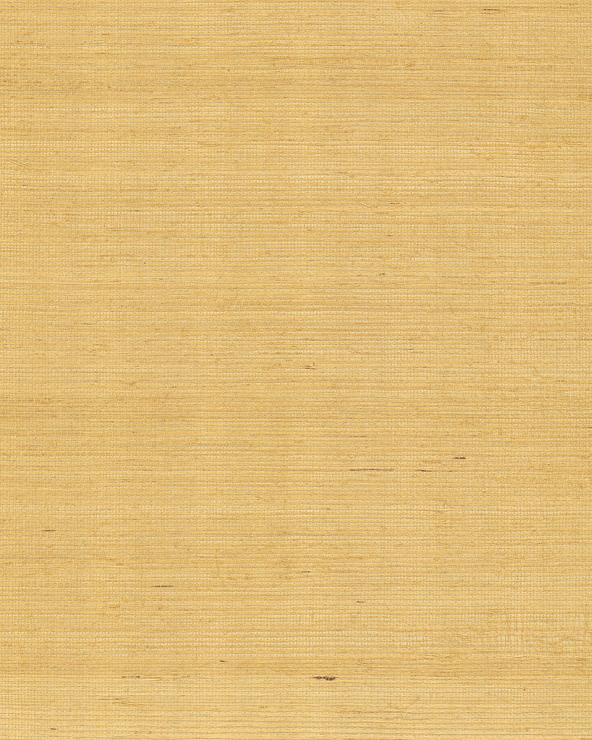 Maguey Sisal Gold Wallpaper with Metallic Sisal Grasscloth Texture - York GV0114NW