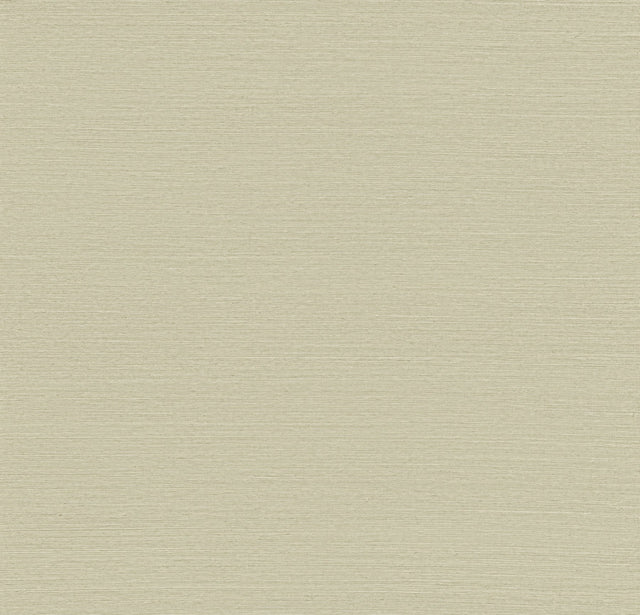 Maguey Sisal Celery Grasscloth Wallpaper with Traditional Style - York GV0143NWFD