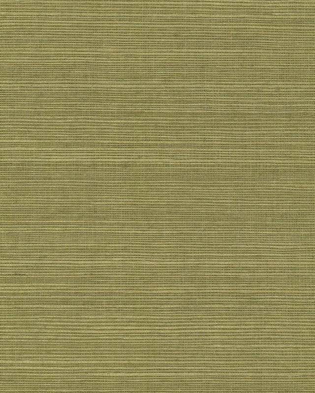 Maguey Sisal Fern Grasscloth Wallpaper with Traditional Natural Texture - York GV0145NW