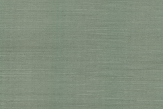 Maguey Sisal Sage Grasscloth Wallpaper with Traditional Non Woven Backing - York GV0146NWFD