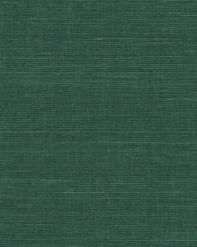 Maguey Sisal Forest Grasscloth Wallpaper - York GV0148NW