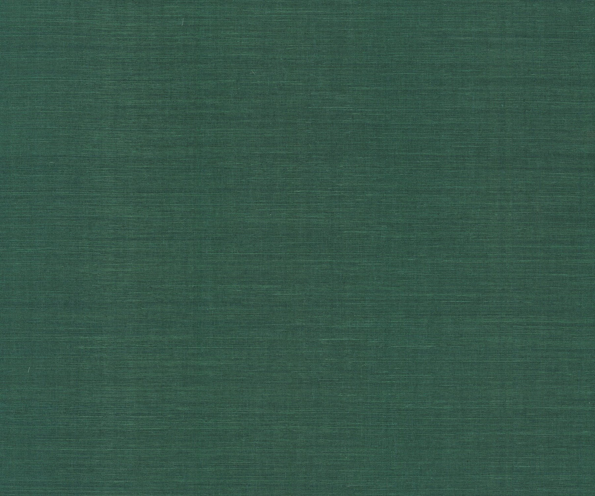 Maguey Sisal Forest Grasscloth Wallpaper with Traditional Style - York GV0148NWFD