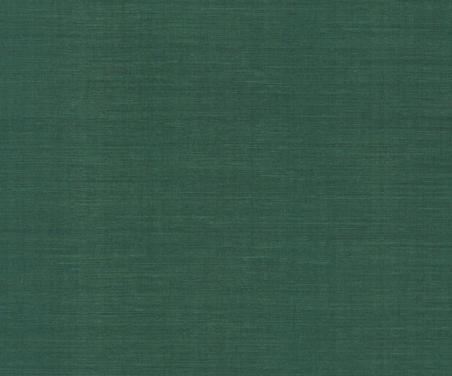 Maguey Sisal Forest Grasscloth Wallpaper with Traditional Style - York GV0148NWFD