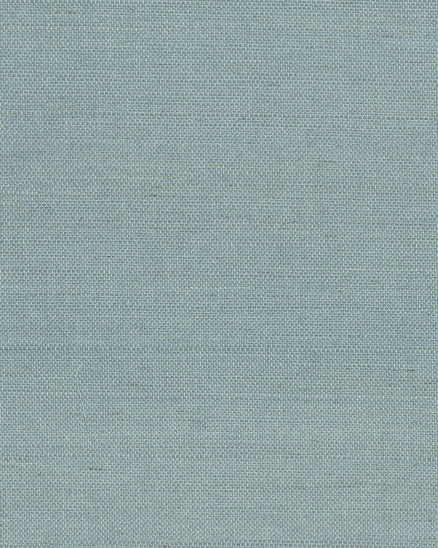 Maguey Sisal Dragonfly Grasscloth Wallpaper, Traditional Style - York GV0153NW