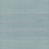 Maguey Sisal Dragonfly Grasscloth Wallpaper with Traditional Style - York GV0153NWFD