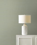 Maguey Sisal Putty Grasscloth Wallpaper with Traditional Style - York GV0175NW
