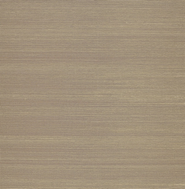 Maguey Sisal Black Grasscloth Wallpaper with Traditional Style - York GV0177NWFD