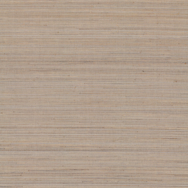 Marled Abaca Grey Grasscloth Wallpaper - Ronald Redding GV0203