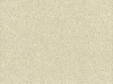 Terra Mica Oyster Wallpaper with Metallic Mica Texture - York GV0212