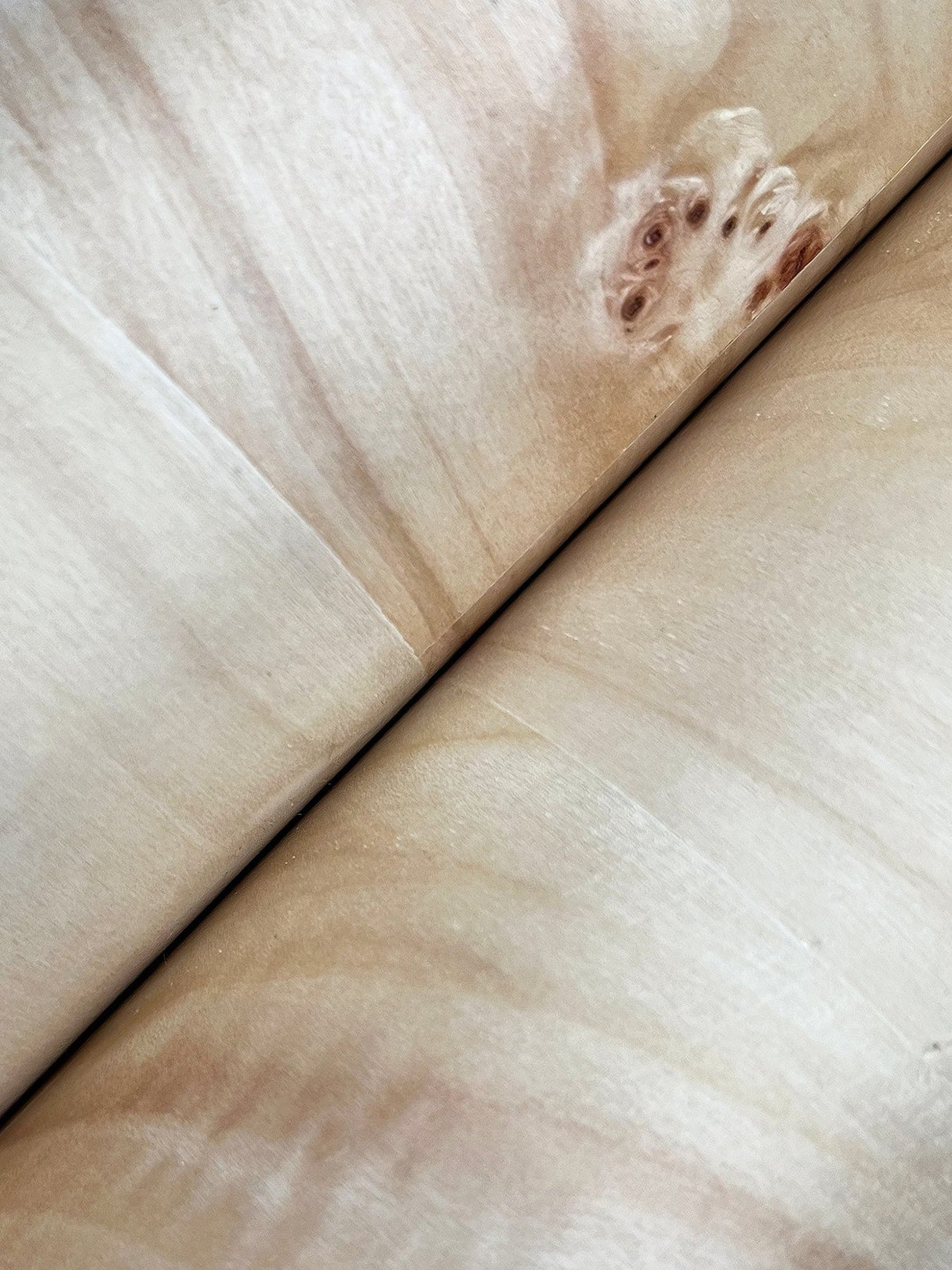 Burlwood Natural Wallpaper with Metallic Wood Veneer Feature Wall - York GV0266